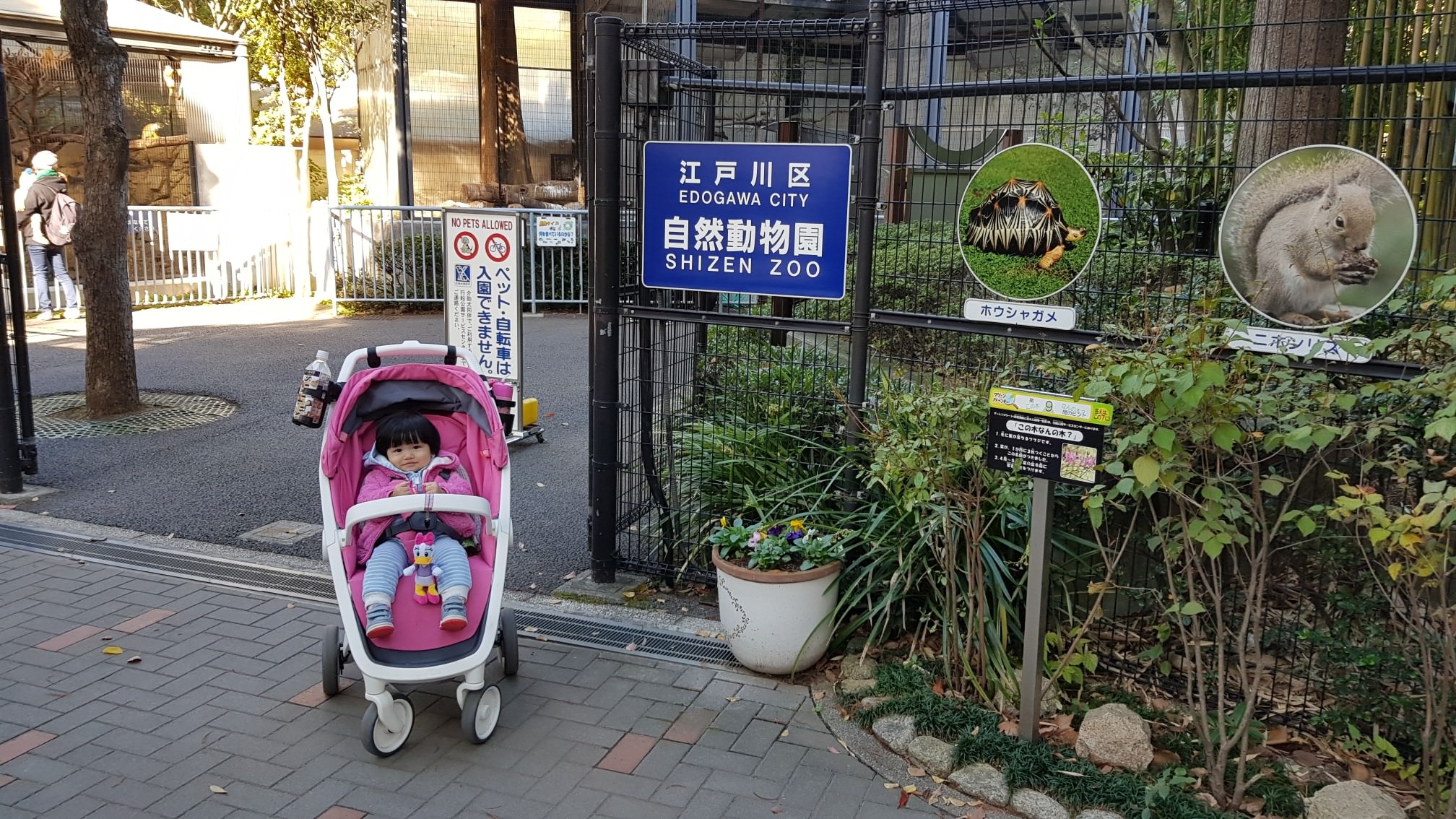 【東京親子景點】江戶川區自然動物園，免費又好玩的小型可愛動物園
